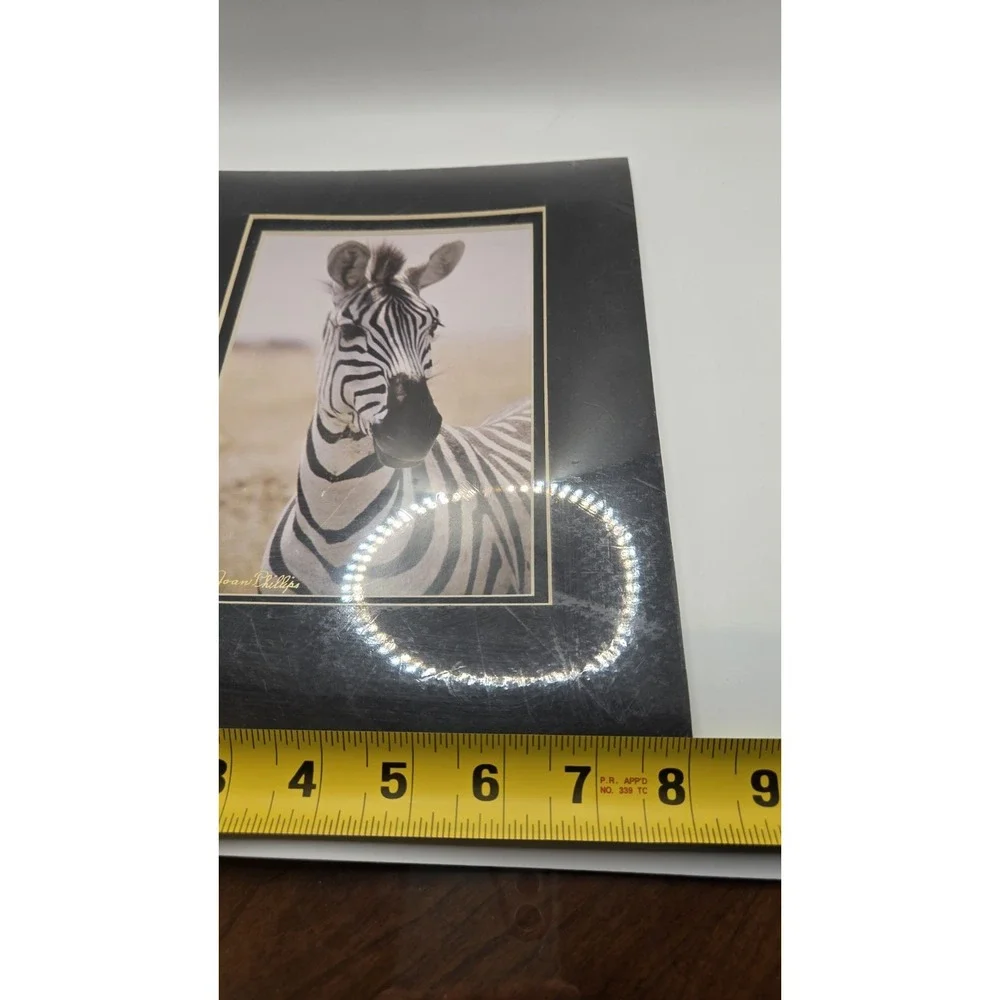 Chicago Vintage 1984 Zebra Safari Photography Sealed Striped Elegance Africa Art - Picture 11 of 11
